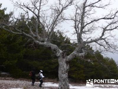 Circo de la Puebla. Sierra del Rincón;ocio y aventura;senderos gr